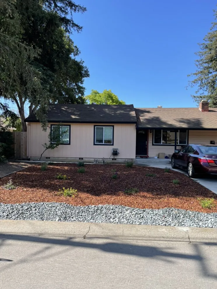 Reliable yard cleanup service for residential properties in Hayward, CA by Fredy Martinez Landscaping Maintenance