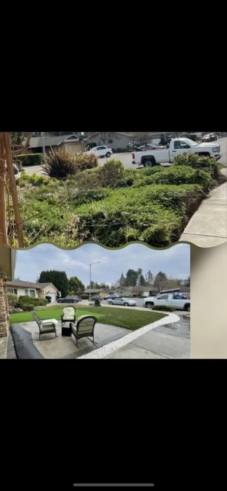 Reliable outdoor landscaping for beautiful yards across Hayward, CA - Fredy Martinez Landscaping Maintenance