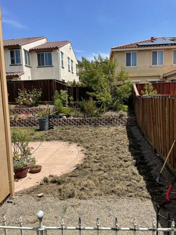 Top-rated landscaping services for beautiful yards across Hayward, CA - Fredy Martinez Landscaping Maintenance