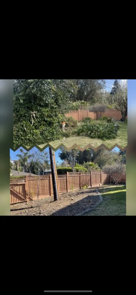 Professional lawn care service for homes across Hayward, CA - Fredy Martinez Landscaping Maintenance