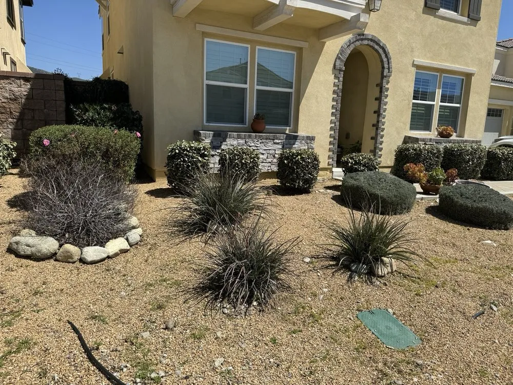 Local yard cleanup service in Rancho Cucamonga, CA by Fredy's Gardening & Landscaping Services