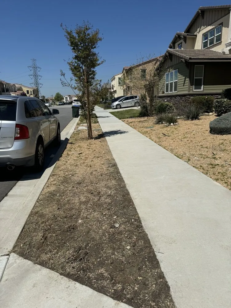 Trusted landscape installation for residential properties in Rancho Cucamonga, CA by Fredy's Gardening & Landscaping Services