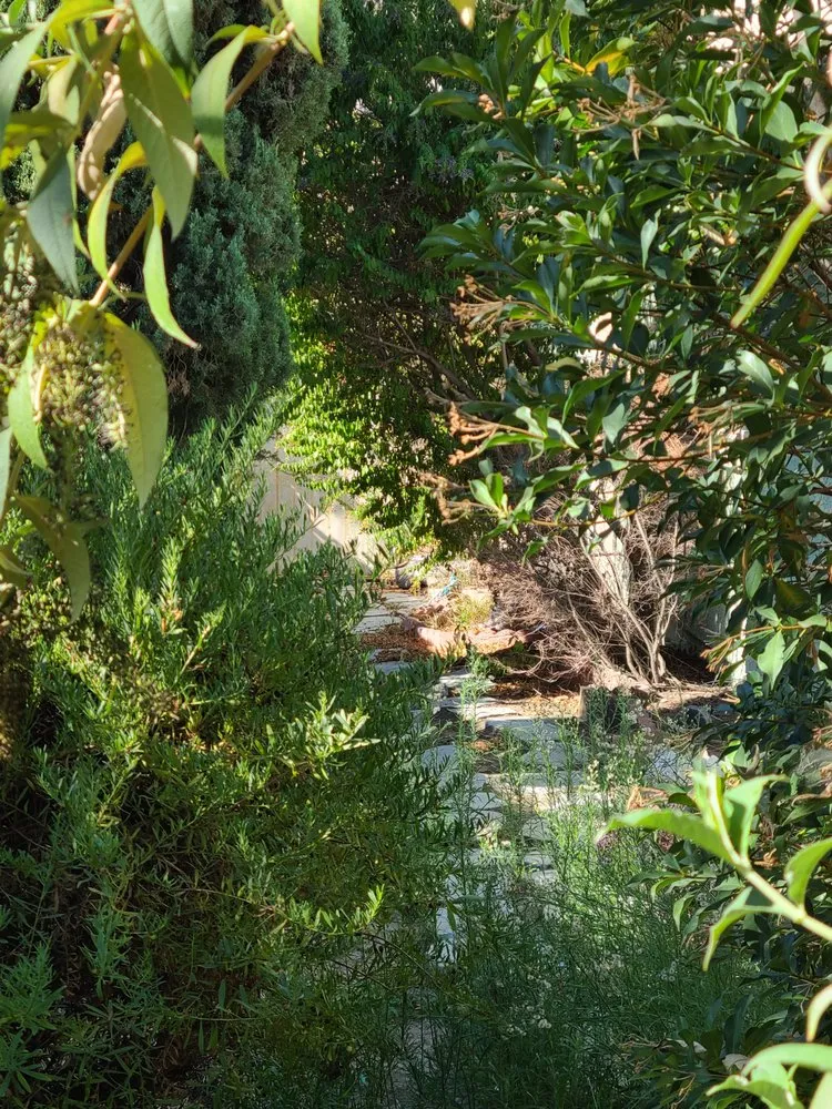 Professional residential landscaping experts serving Rancho Cucamonga, CA - Fredy's Gardening & Landscaping Services