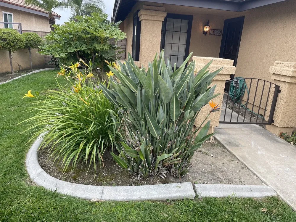 Professional garden landscaping in Rancho Cucamonga, CA - Fredy's Gardening & Landscaping Services