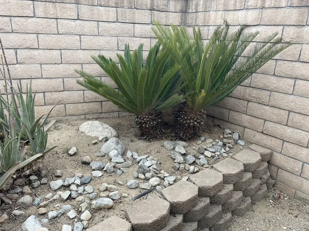 Expert lawn mowing service for outdoor upgrades in Rancho Cucamonga, CA by Fredy's Gardening & Landscaping Services