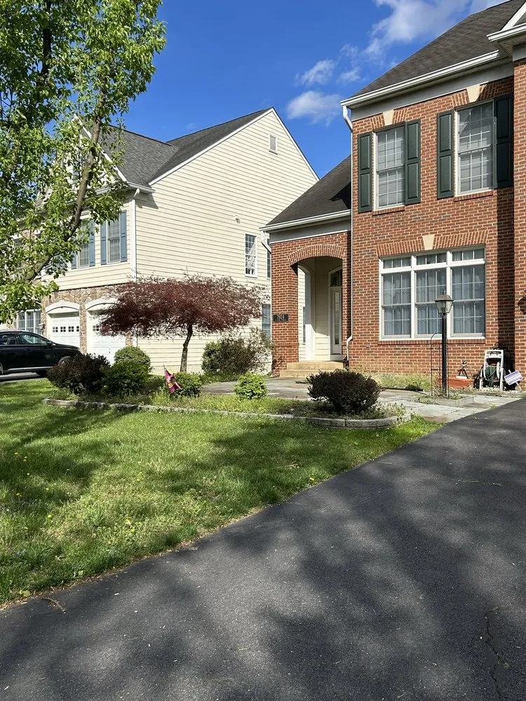 Affordable yard cleanup service in Annandale, VA by Fredys Hauling