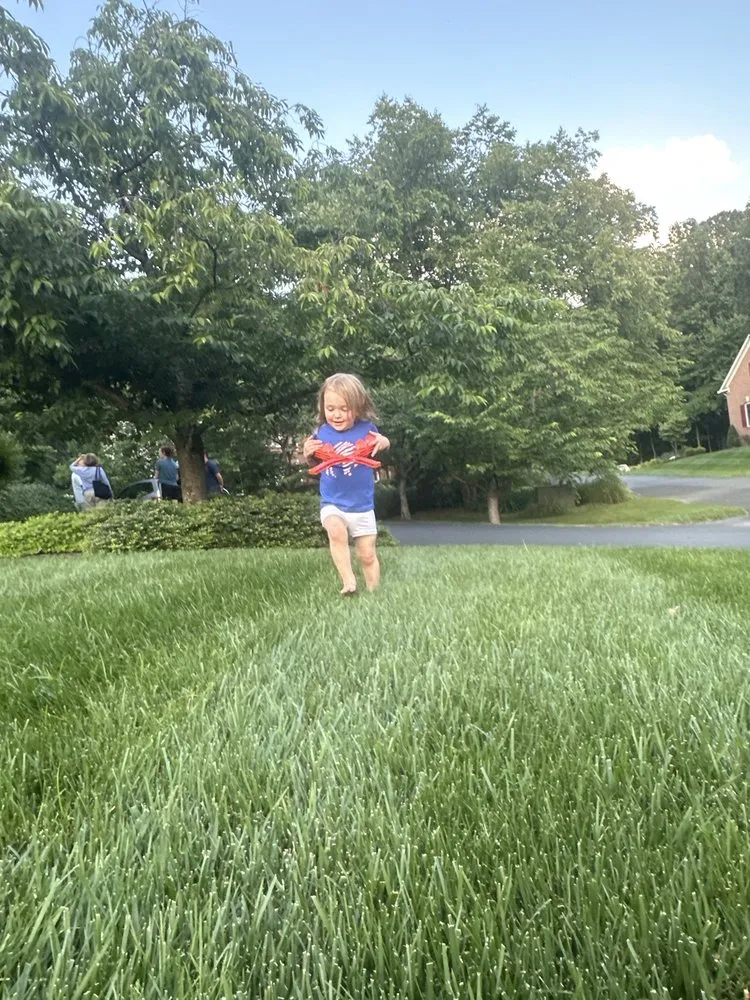 Trusted lawn mowing service in Annandale, VA - Fredys Hauling