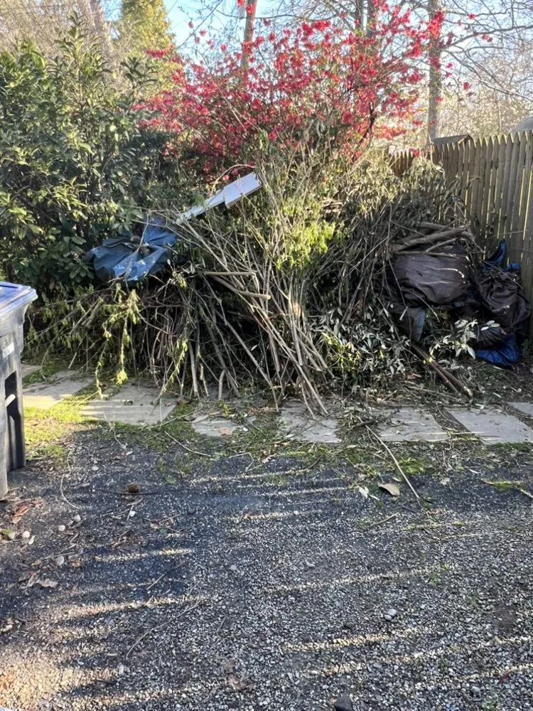 Local lawn care service experts serving Annandale, VA - Fredys Hauling