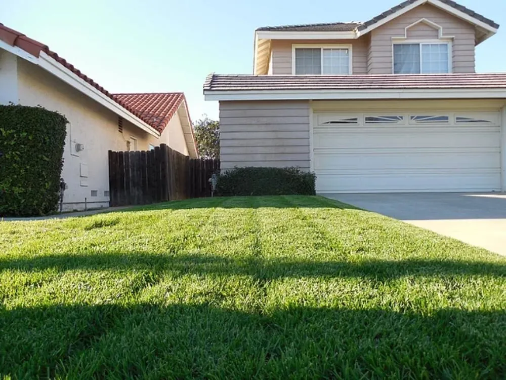 Local landscaping services for beautiful yards across Oceanside, CA - Fredy's Landscaping & Gardening