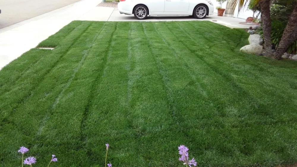 Custom garden landscaping in Oceanside, CA by Fredy's Landscaping & Gardening