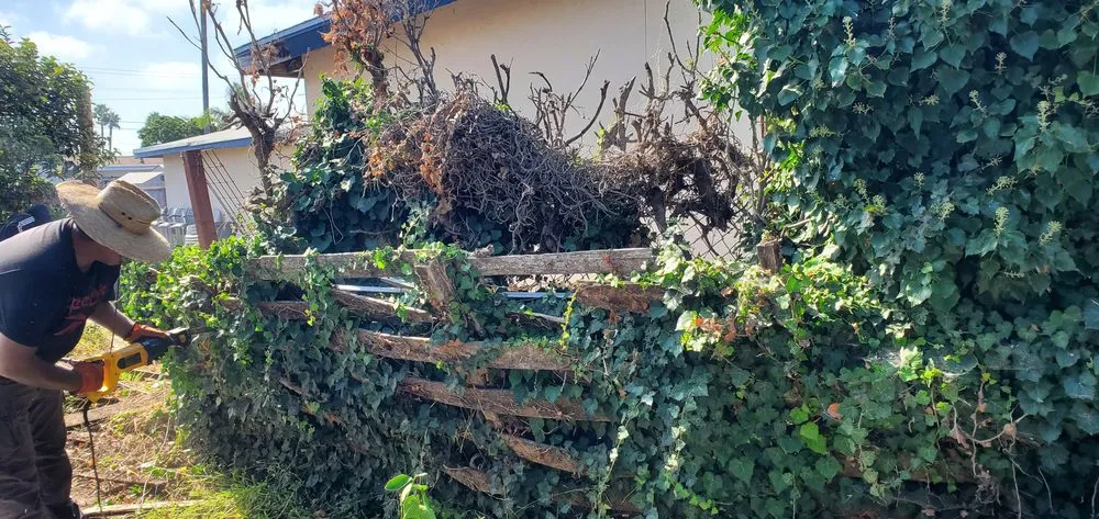 Custom landscape installation for residential properties across Oceanside, CA - Fredy's Landscaping & Gardening