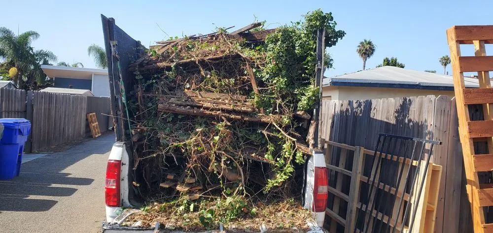 Top-rated landscape design in Oceanside, CA by Fredy's Landscaping & Gardening