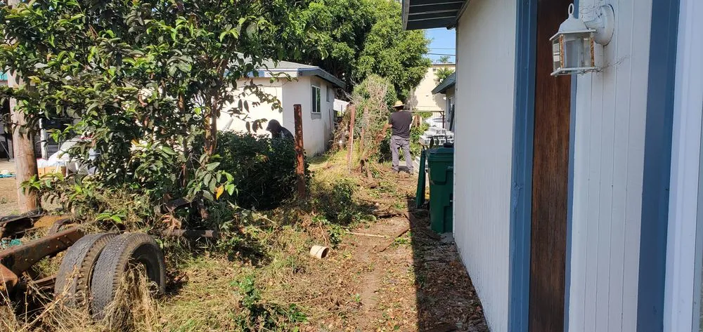 Trusted residential landscaping in Oceanside, CA by Fredy's Landscaping & Gardening