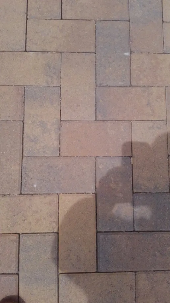 Top-rated residential landscaping in Oceanside, CA by Fredy's Landscaping & Gardening