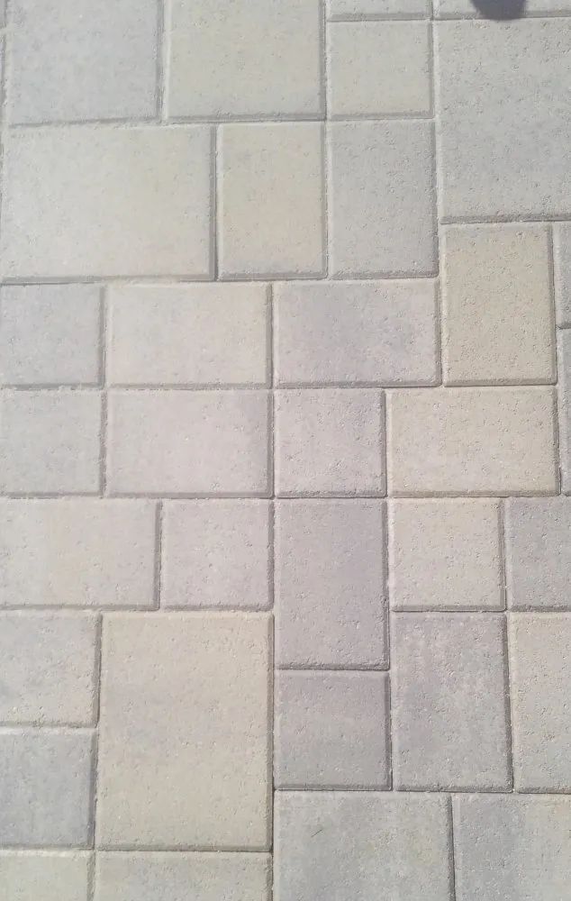 Top-rated yard cleanup service in Oceanside, CA - Fredy's Landscaping & Gardening