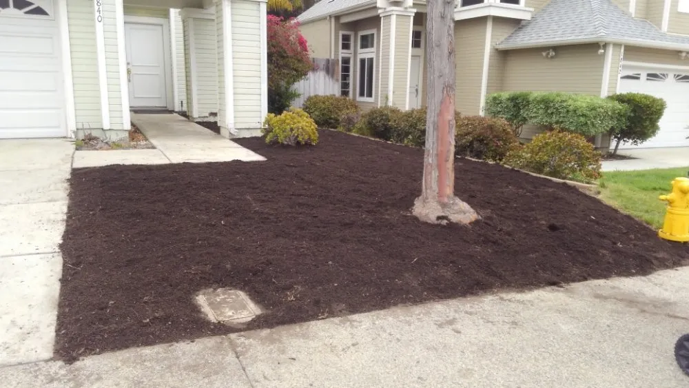 Trusted residential landscaping for residential properties in Oceanside, CA by Fredy's Landscaping & Gardening