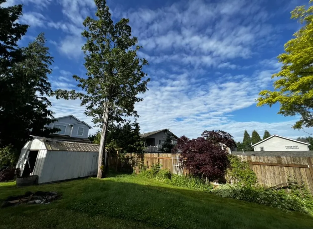 Affordable outdoor landscaping for beautiful yards in Bellingham, WA by Fredy's Landscaping and Painting Service