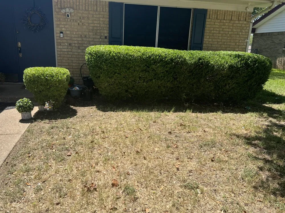 Expert garden landscaping for beautiful yards in Dallas, TX by Fredy’s Landscaping Services
