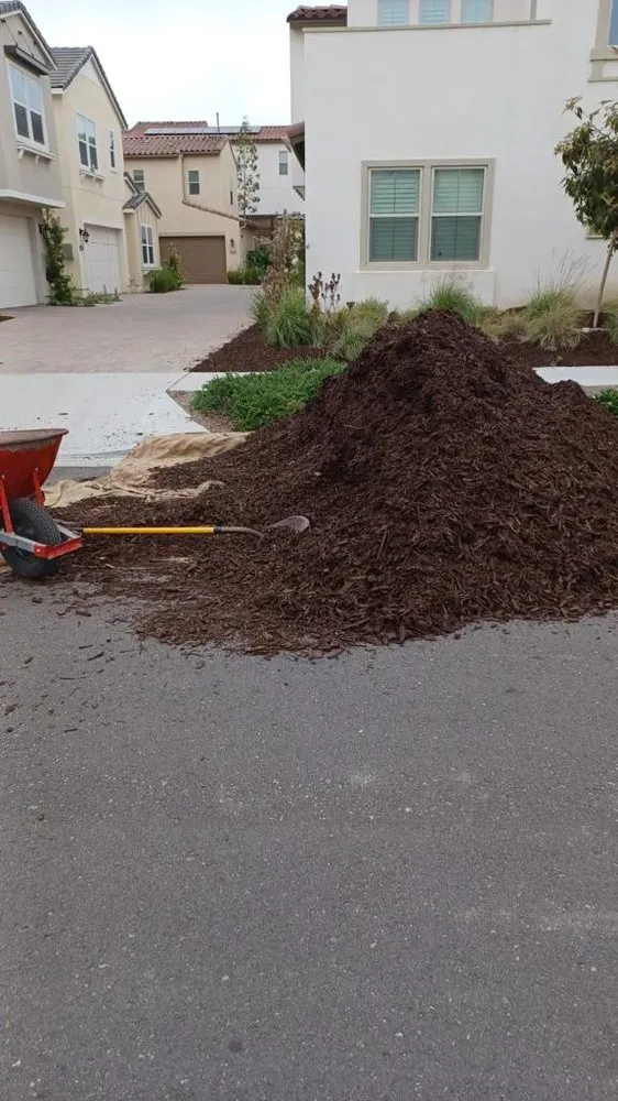 Reliable lawn mowing service experts serving Dallas, TX - Fredy’s Landscaping Services