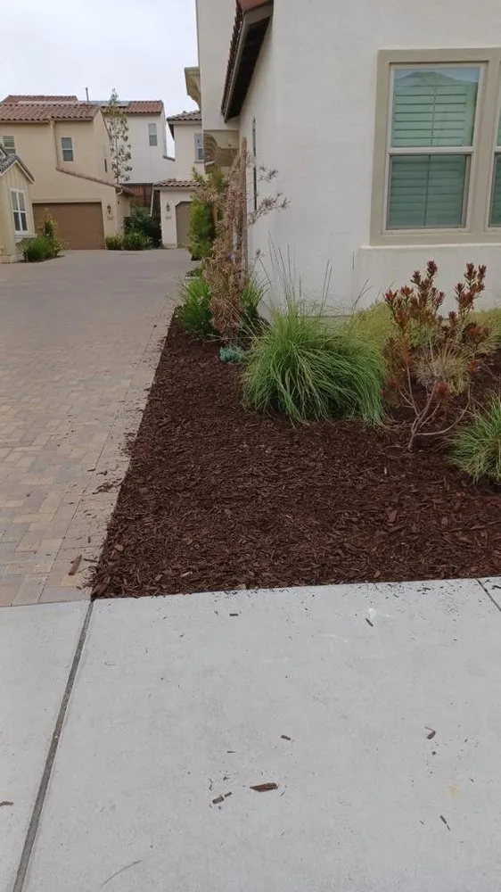Affordable residential landscaping experts serving Dallas, TX - Fredy’s Landscaping Services