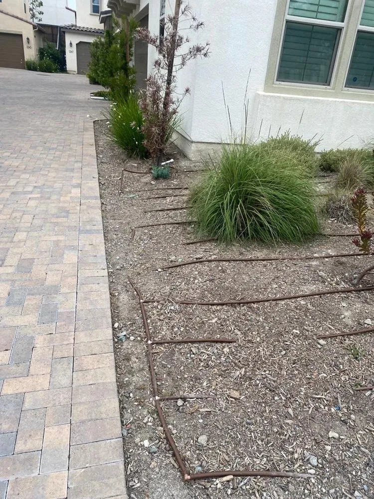 Custom landscape installation in Dallas, TX by Fredy’s Landscaping Services