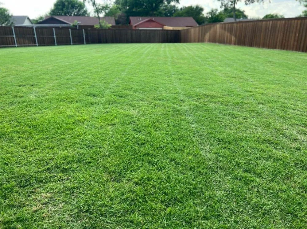 Expert outdoor landscaping experts serving Dallas, TX - Fredy’s Landscaping Services