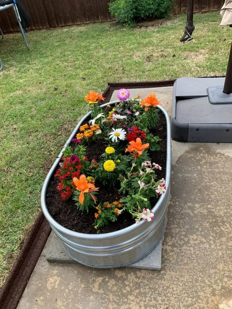 Top-rated garden landscaping for year-round maintenance in Dallas, TX by Fredy’s Landscaping Services