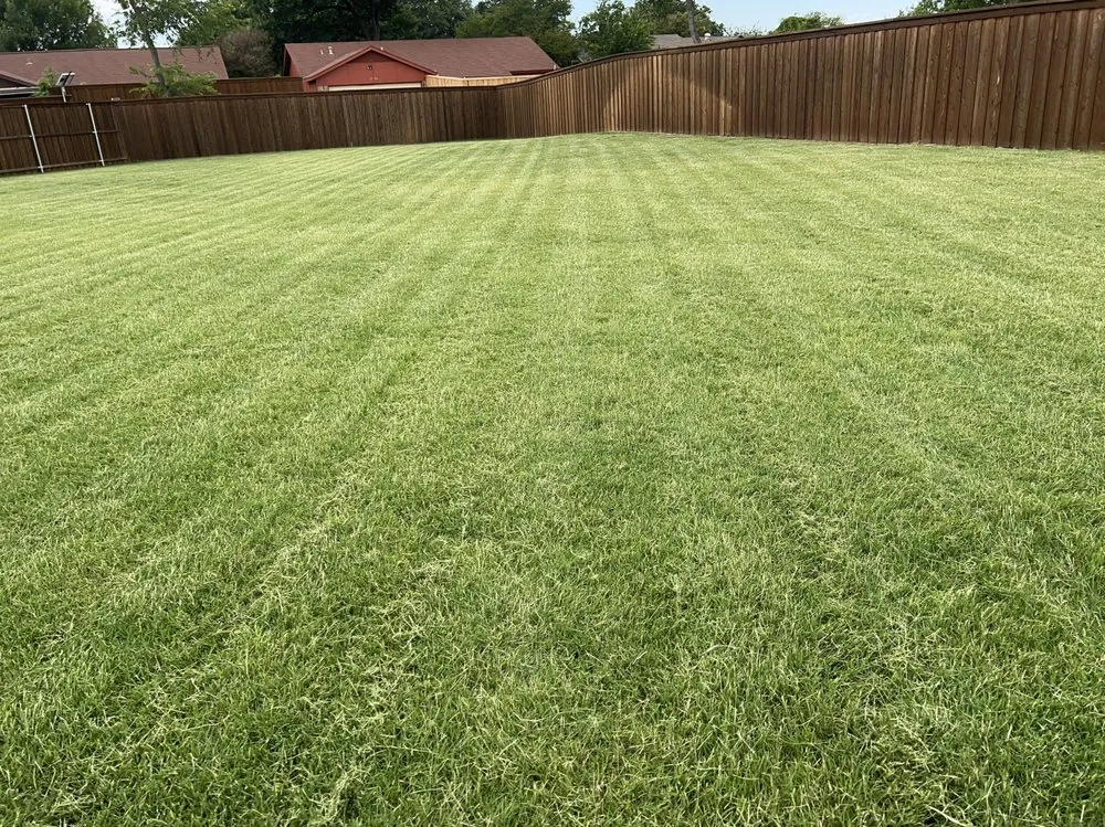 Custom yard cleanup service experts serving Dallas, TX - Fredy’s Landscaping Services