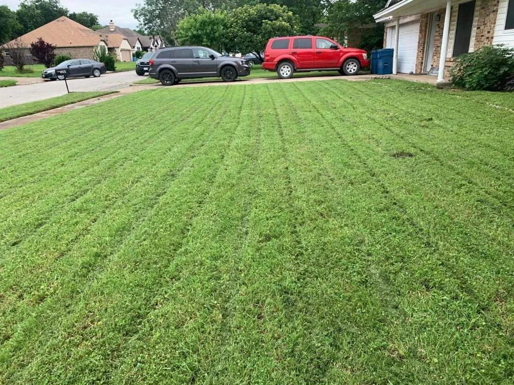 Reliable lawn care service with custom design across Dallas, TX - Fredy’s Landscaping Services