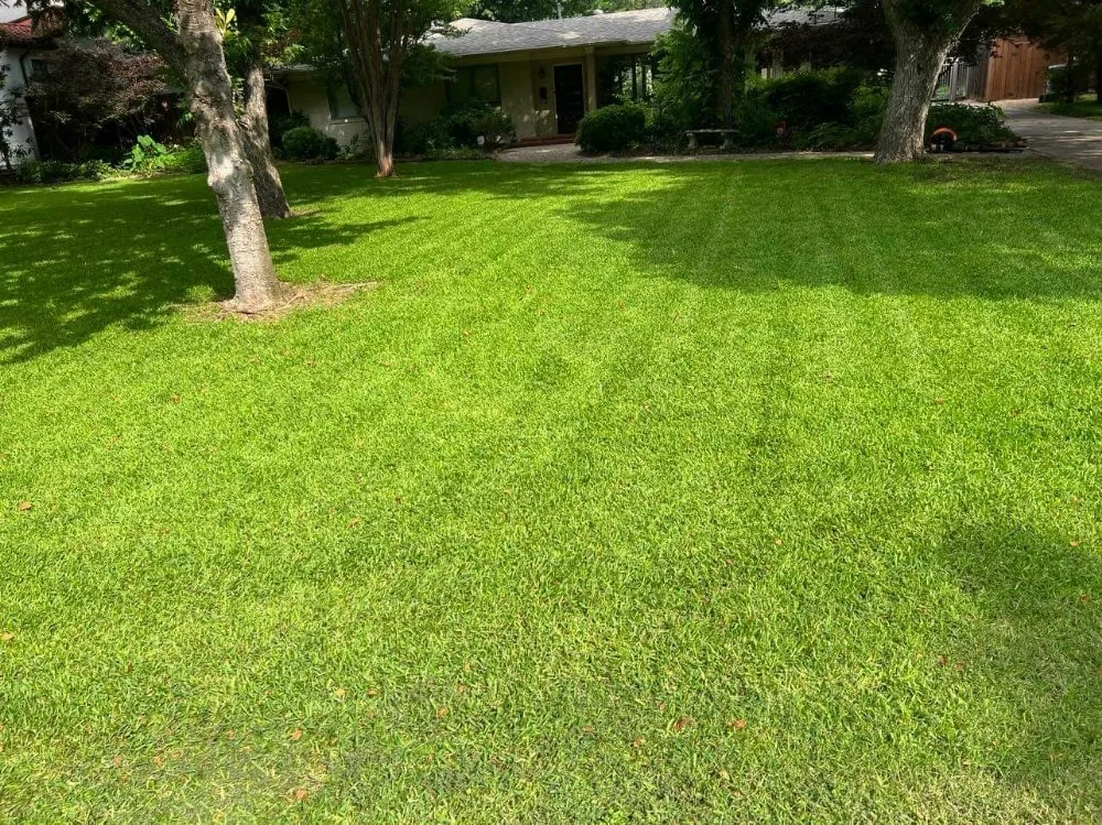 Custom garden landscaping in Dallas, TX - Fredy’s Landscaping Services