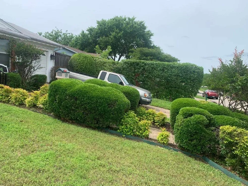 Affordable landscape installation experts serving Dallas, TX - Fredy’s Landscaping Services