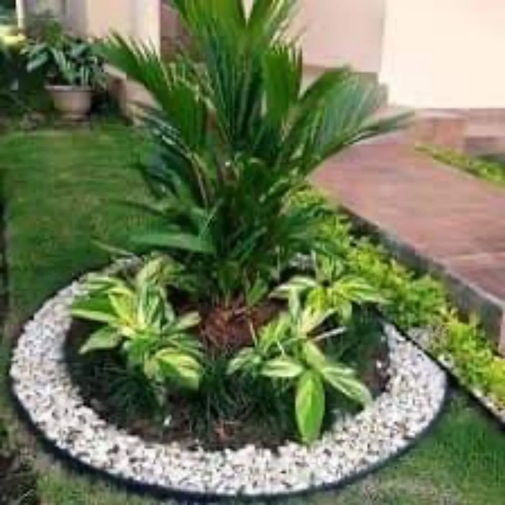 Professional garden landscaping in Dallas, TX by Fredy’s Landscaping Services