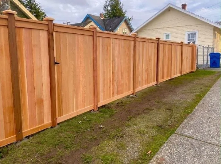 Reliable yard maintenance for outdoor upgrades in Tacoma, WA by Fredy’s Landscaping