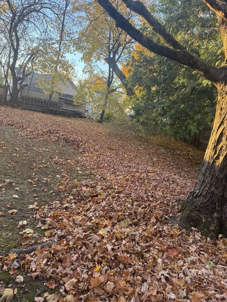 Local landscape installation in Woburn, MA - Fredy’s Lansdcaping