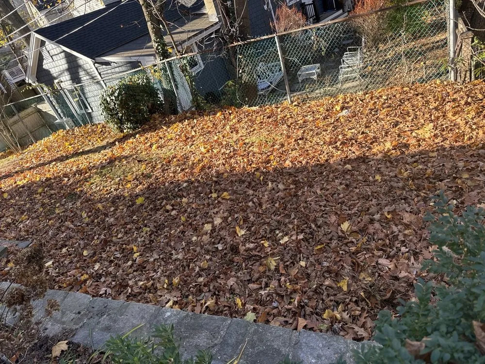 Top-rated garden landscaping experts serving Woburn, MA - Fredy’s Lansdcaping