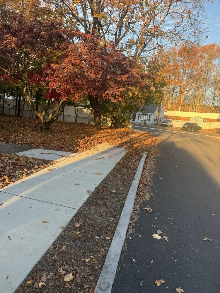 Reliable landscape installation with custom design across Woburn, MA - Fredy’s Lansdcaping