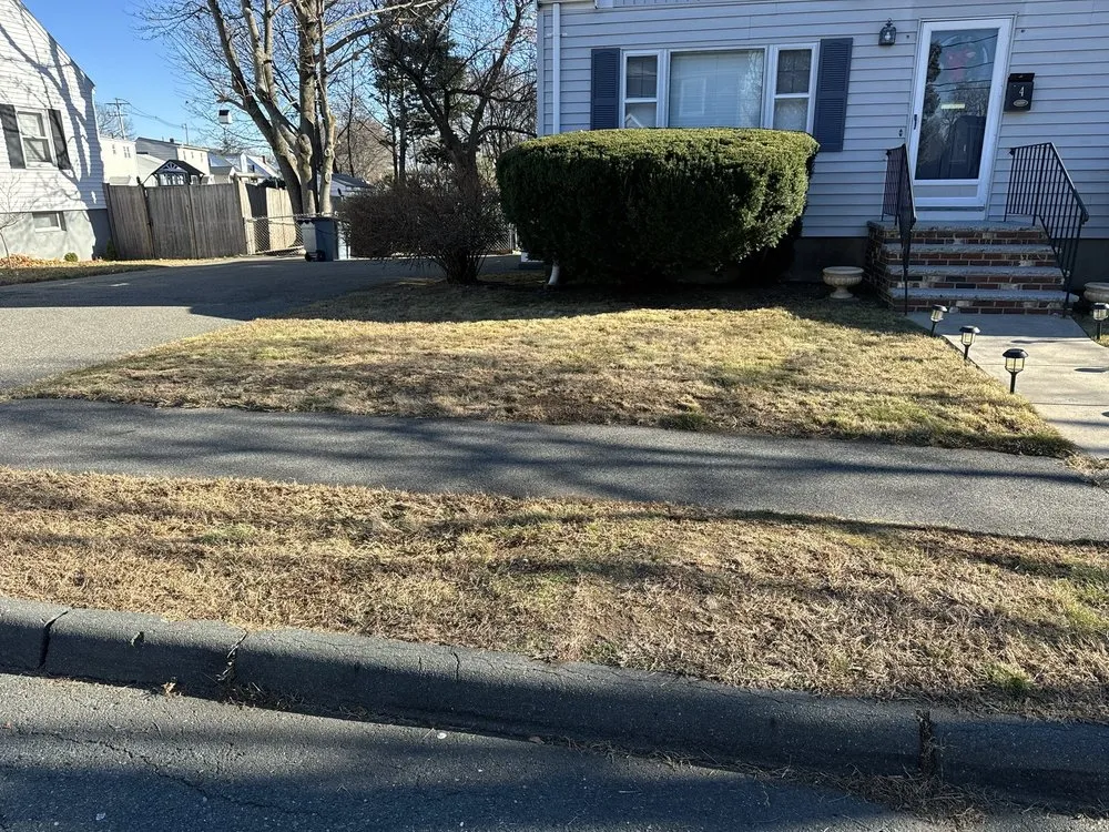 Expert landscaping services experts serving Woburn, MA - Fredy’s Lansdcaping