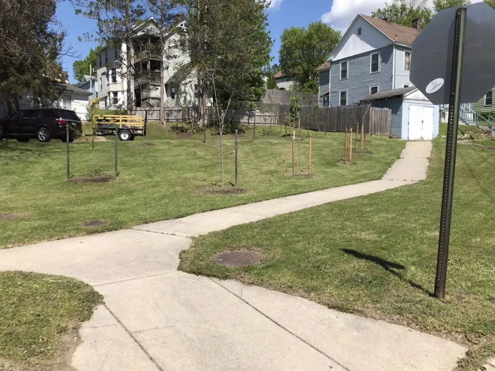 Reliable residential landscaping experts serving Pittsfield, MA - Free Bird Landscaping