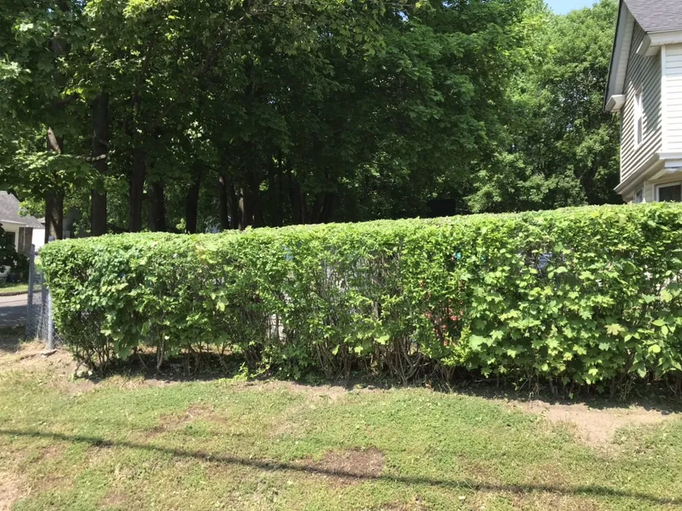 Reliable landscape design in Pittsfield, MA by Free Bird Landscaping