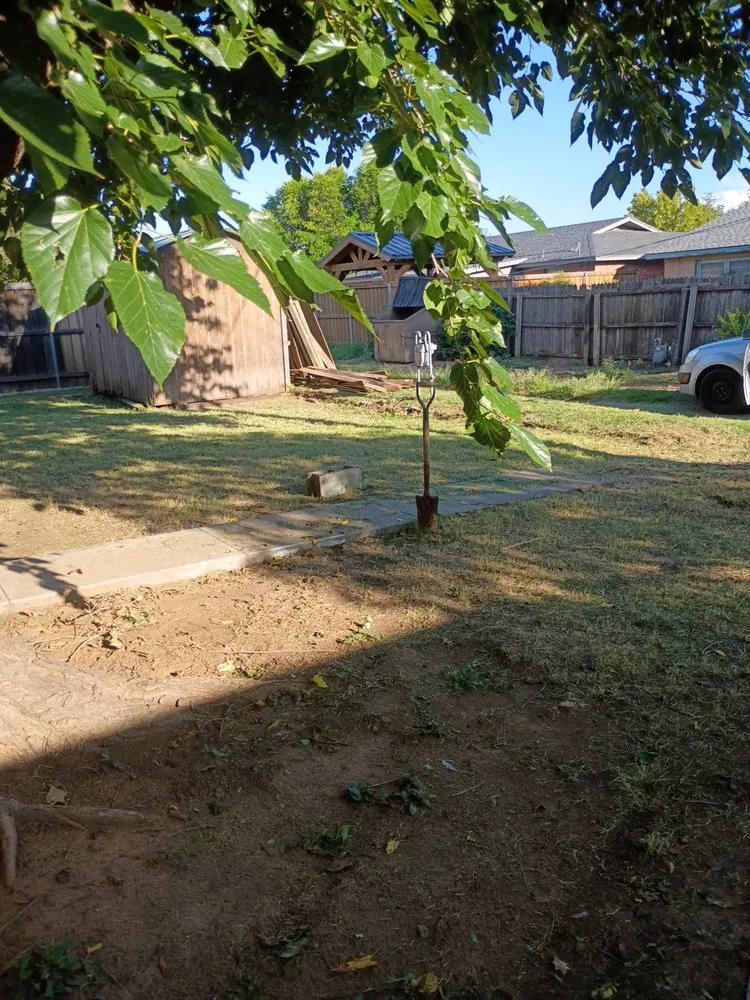 Professional yard maintenance with custom design across Lubbock, TX - Free Birds Lawn Care Service