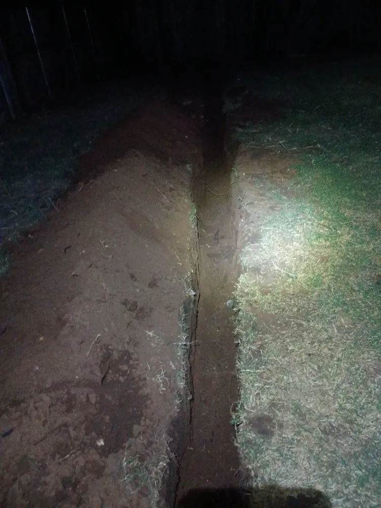 Expert lawn mowing service experts serving Lubbock, TX - Free Birds Lawn Care Service