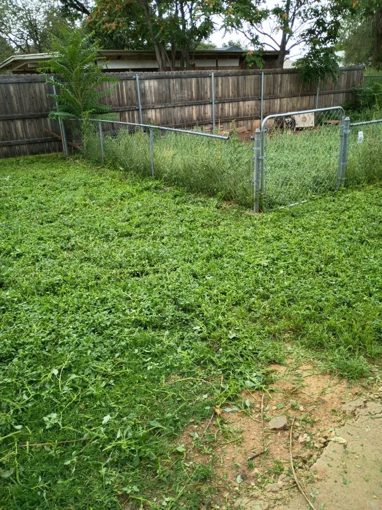 Trusted landscape design experts serving Lubbock, TX - Free Birds Lawn Care Service