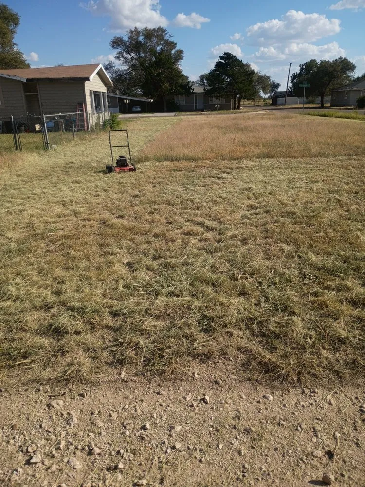 Professional lawn mowing service in Lubbock, TX by Free Birds Lawn Care Service
