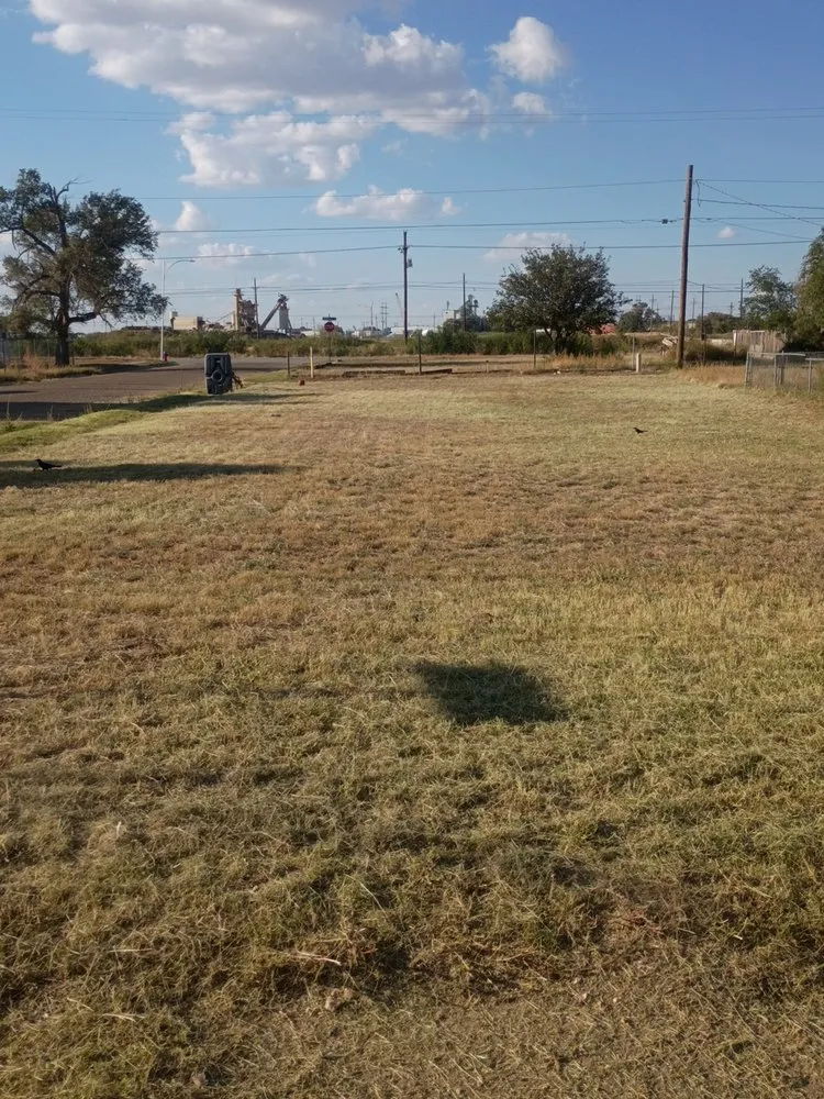 Local yard cleanup service experts serving Lubbock, TX - Free Birds Lawn Care Service