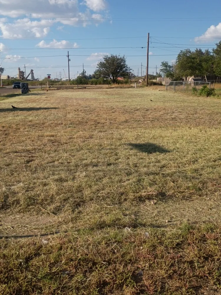 Local lawn care service experts serving Lubbock, TX - Free Birds Lawn Care Service