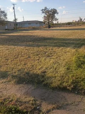 Free Birds Lawn Care Service Logo