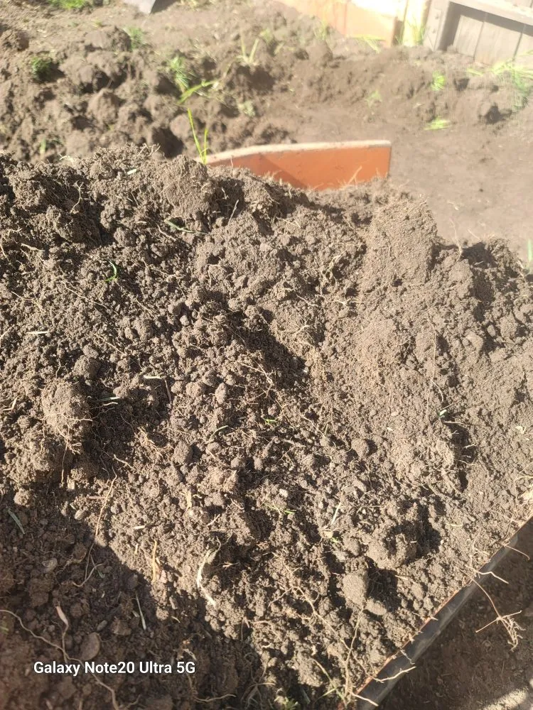 Professional landscaping services experts serving San Leandro, CA - Free Dirt Bay Area