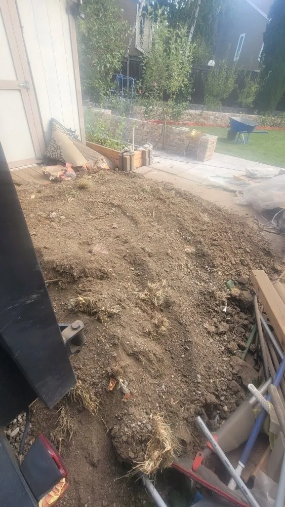 Affordable yard maintenance for homes in San Leandro, CA by Free Dirt Bay Area