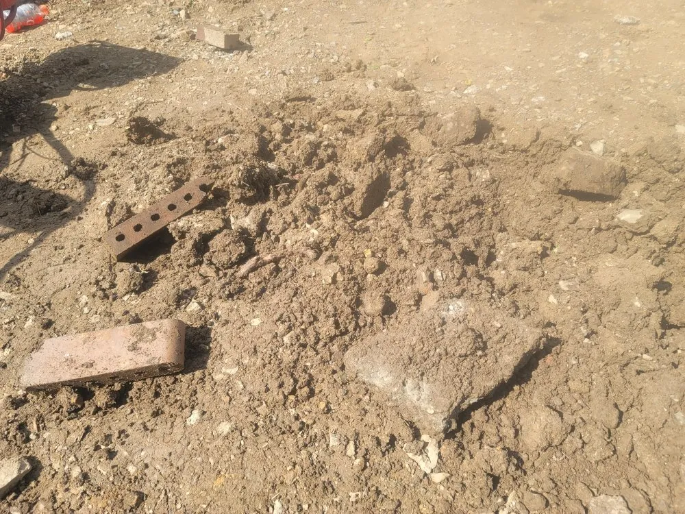 Trusted yard cleanup service in San Leandro, CA - Free Dirt Bay Area