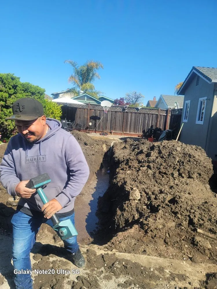 Reliable residential landscaping experts serving San Leandro, CA - Free Dirt Bay Area